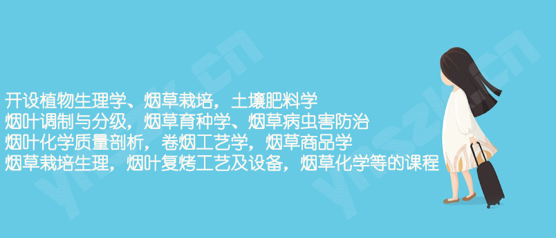 2021年云南省成人高考（函授）烟草专业招生情况及专业如何？