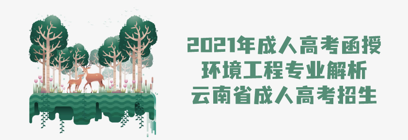 2021年成人高考函授 环境工程专业解析 云南省成人高考招生