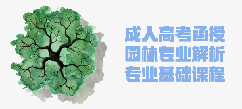 2021年成人高考函授 园林专业解析 云南省成人高考招生 成人教育