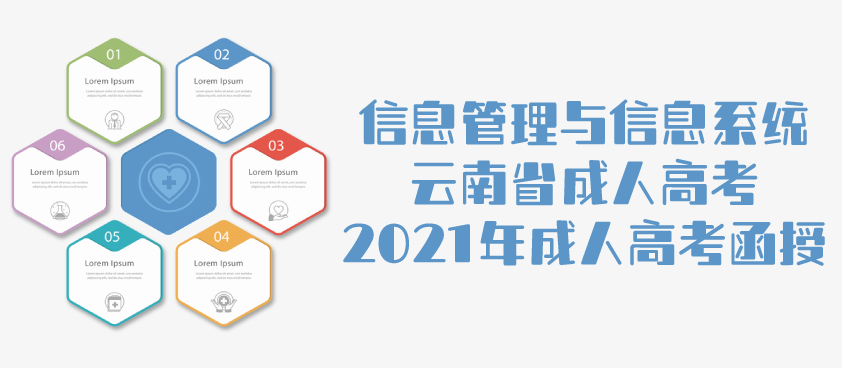 2021年成人高考函授 信息管理与信息系统专业解析 云南省成人高考