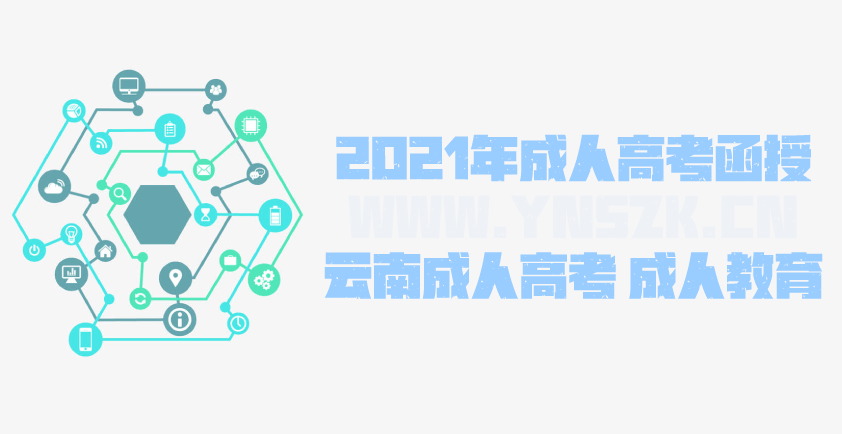 2021成人高考函授 汉语国际教育专业简析 云南成人高考 成人教育