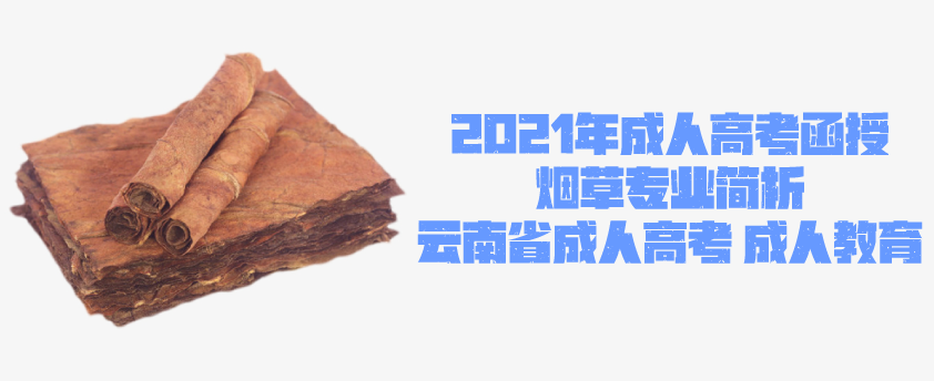 2021年成人高考函授 烟草专业简析 云南省成人高考 成人教育