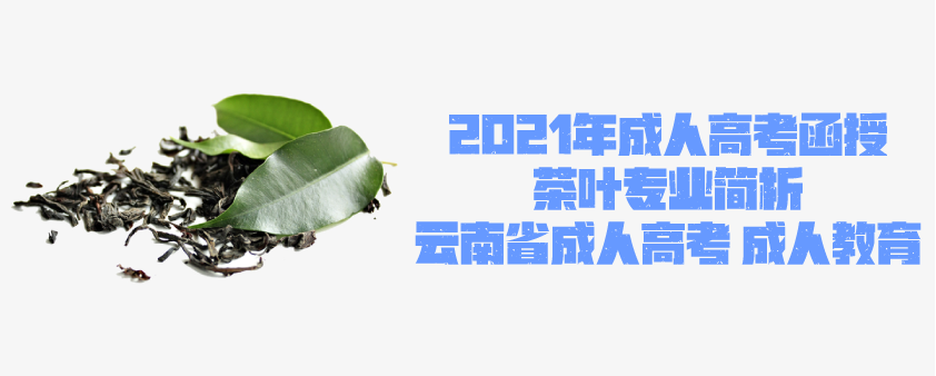 2021年成人高考函授 茶学专业简析 云南省成人高考 成人教育