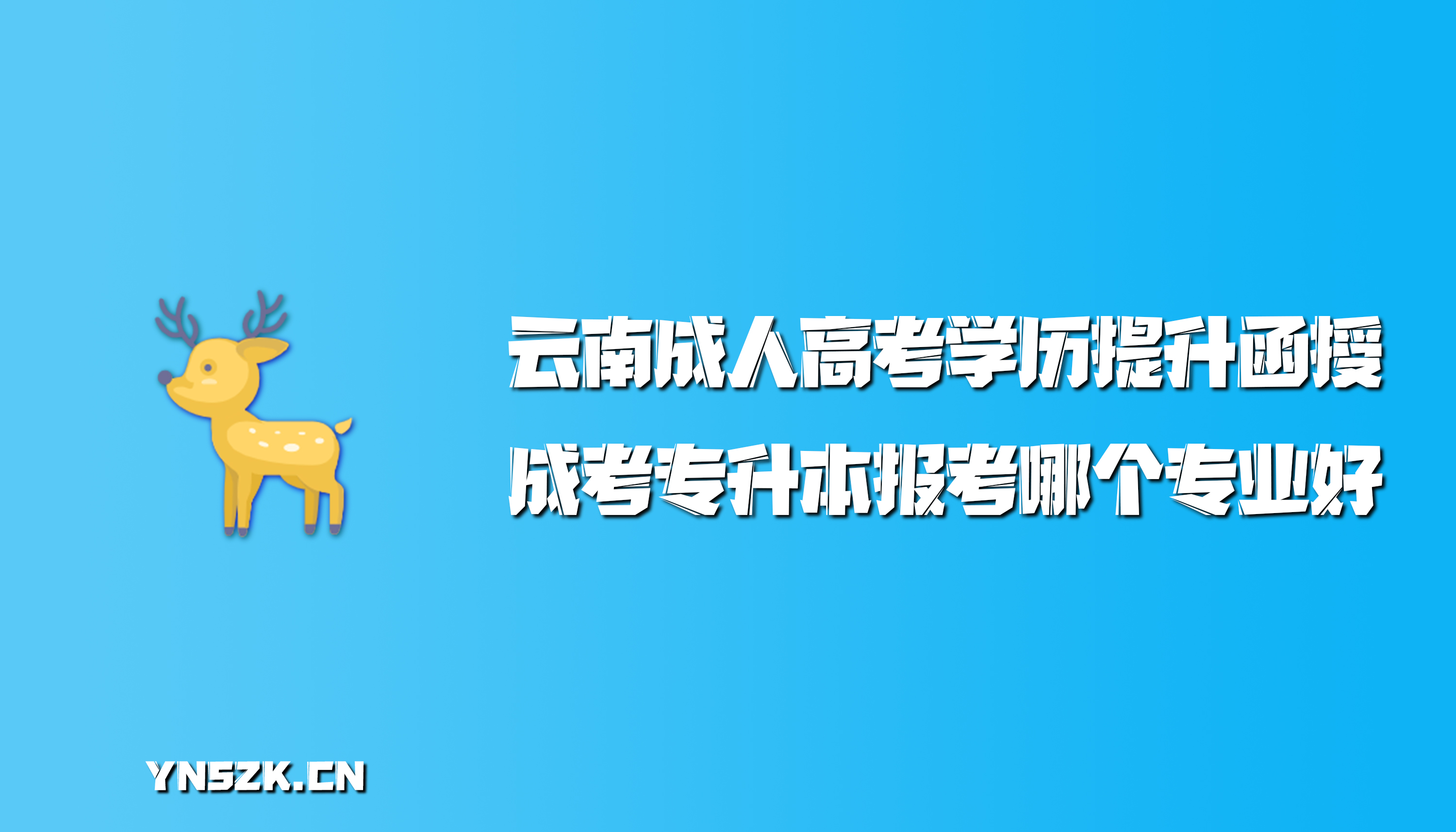 云南成人高考学历提升函授：成人高考专升本报考哪个专业好