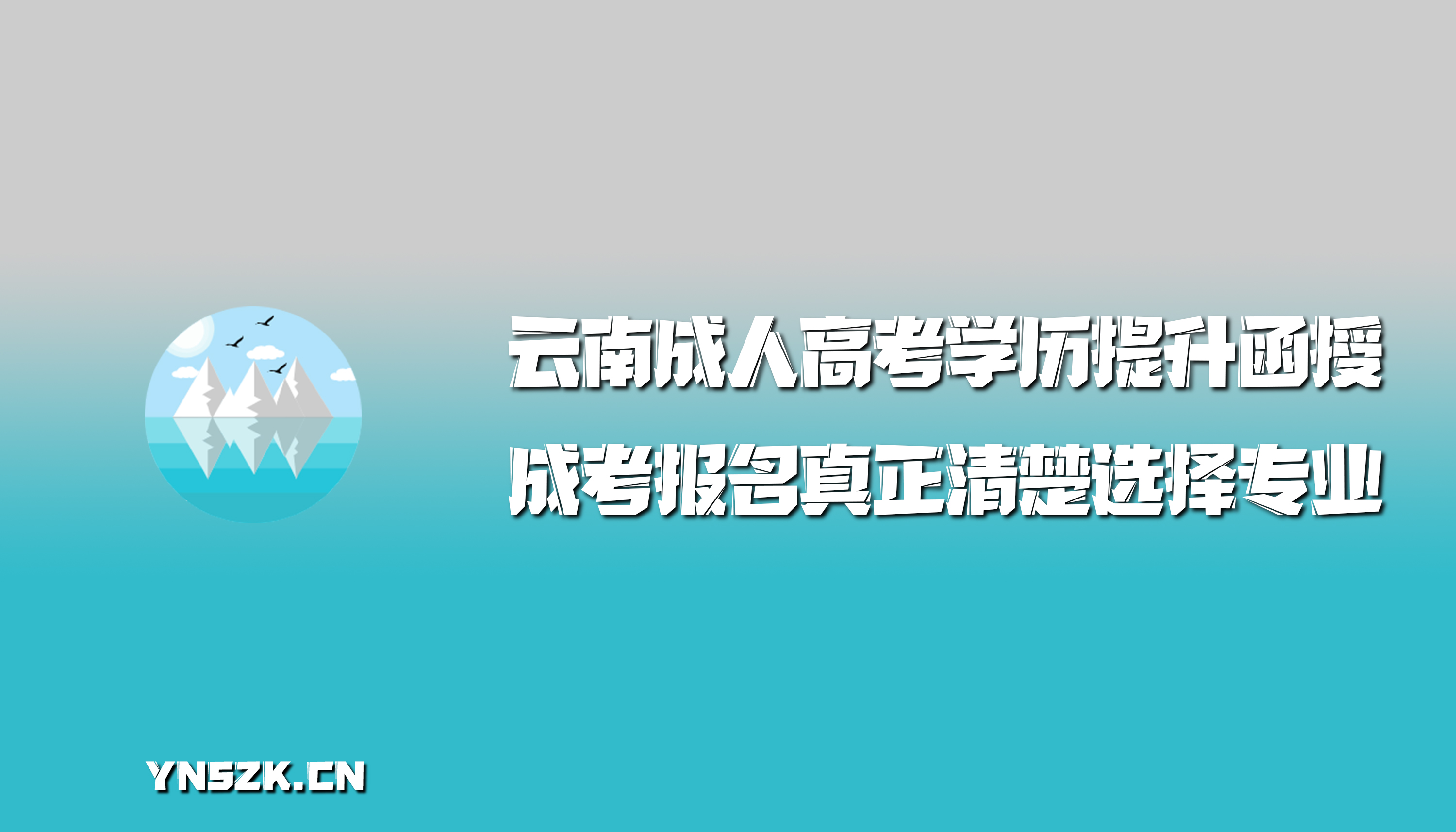 成考报名真正清楚选择专业？